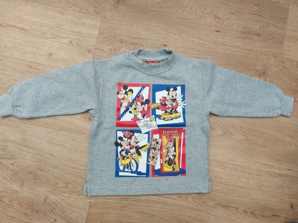 sweater Disney in maat 110, Kinderen en Baby's, Kinderkleding | Maat 110, Disney, Meisje, Trui of Vest, Ophalen of Verzenden