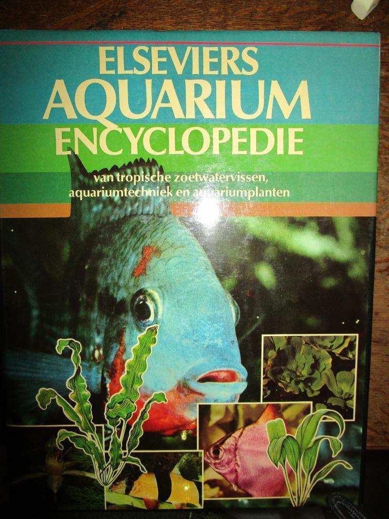boek: aquariumvissen, Dieren en Toebehoren, Vissen | Aquariumvissen, Vis