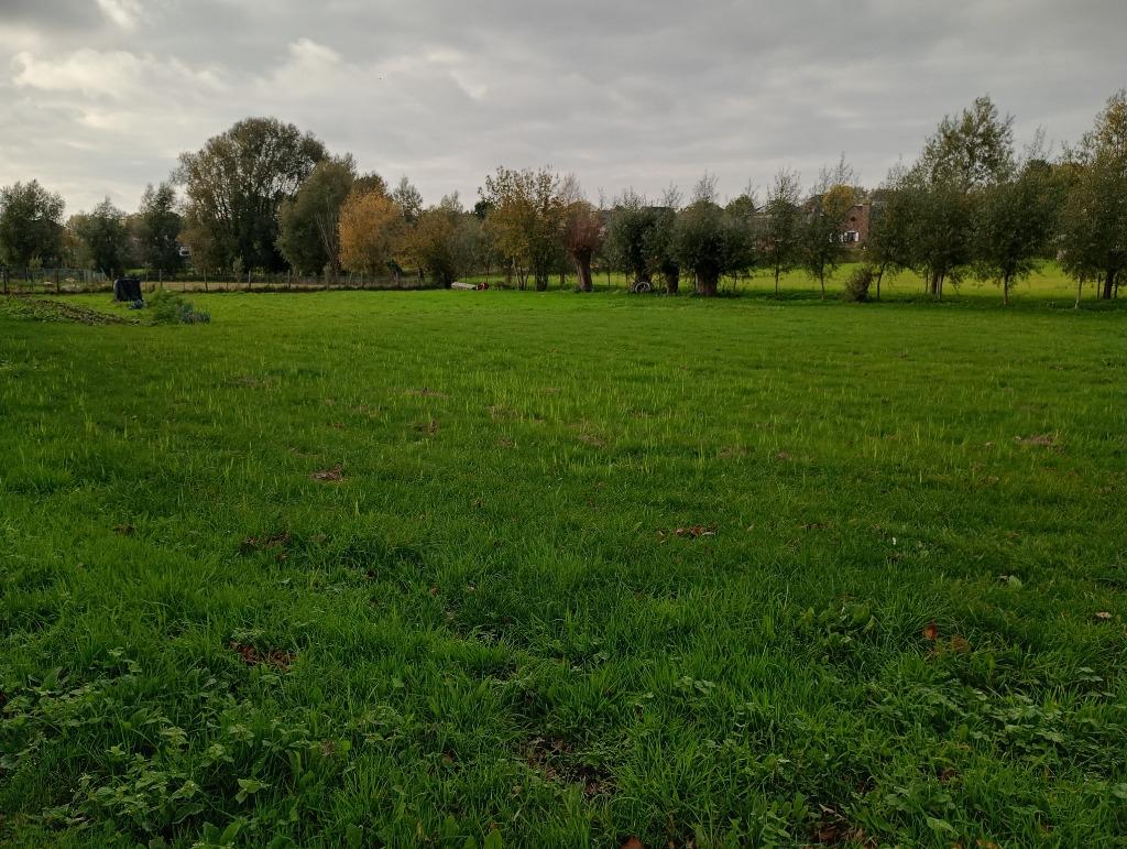 weiland of grasland 25a50ca te Lennik, Immo, Lennik