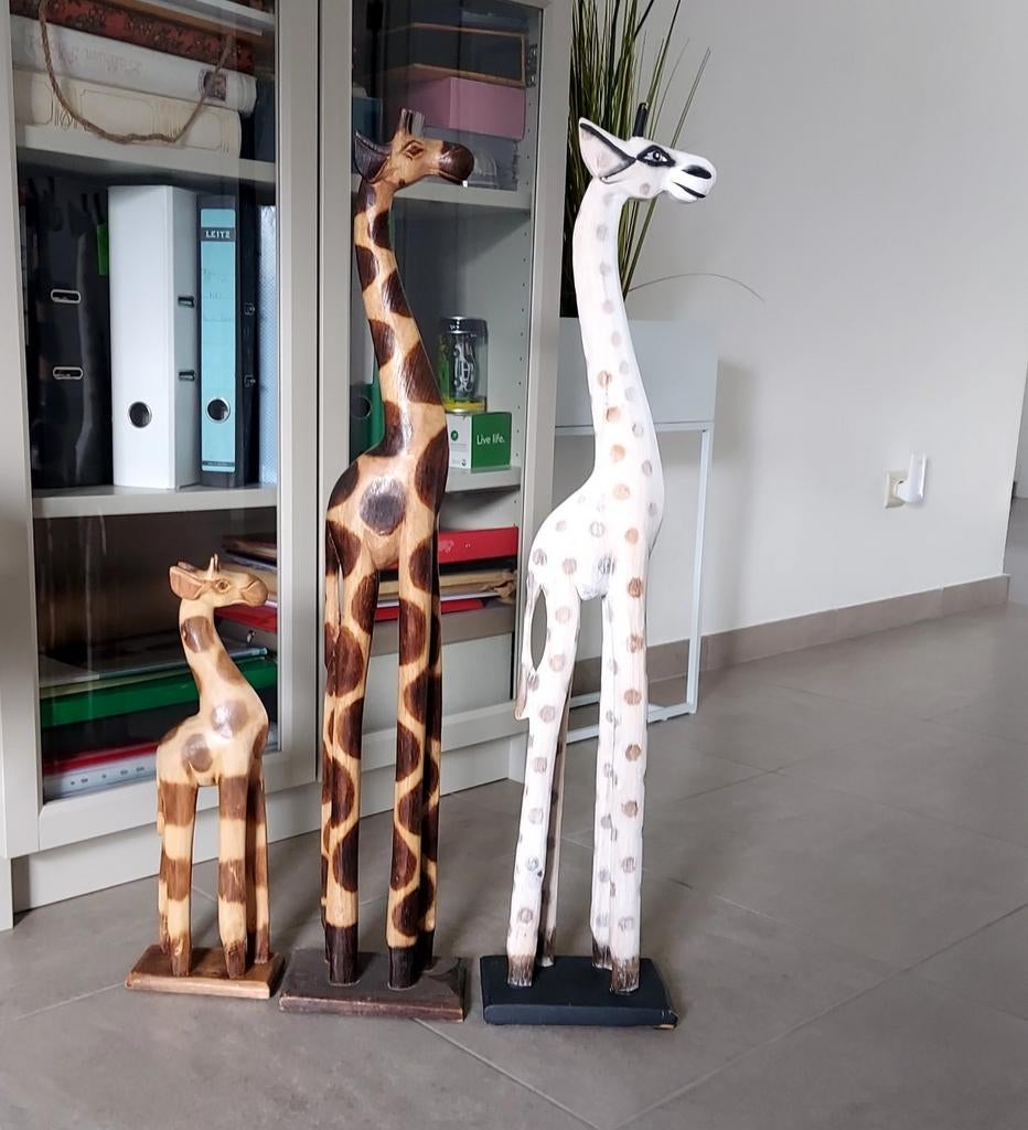 Girafe, Enlèvement