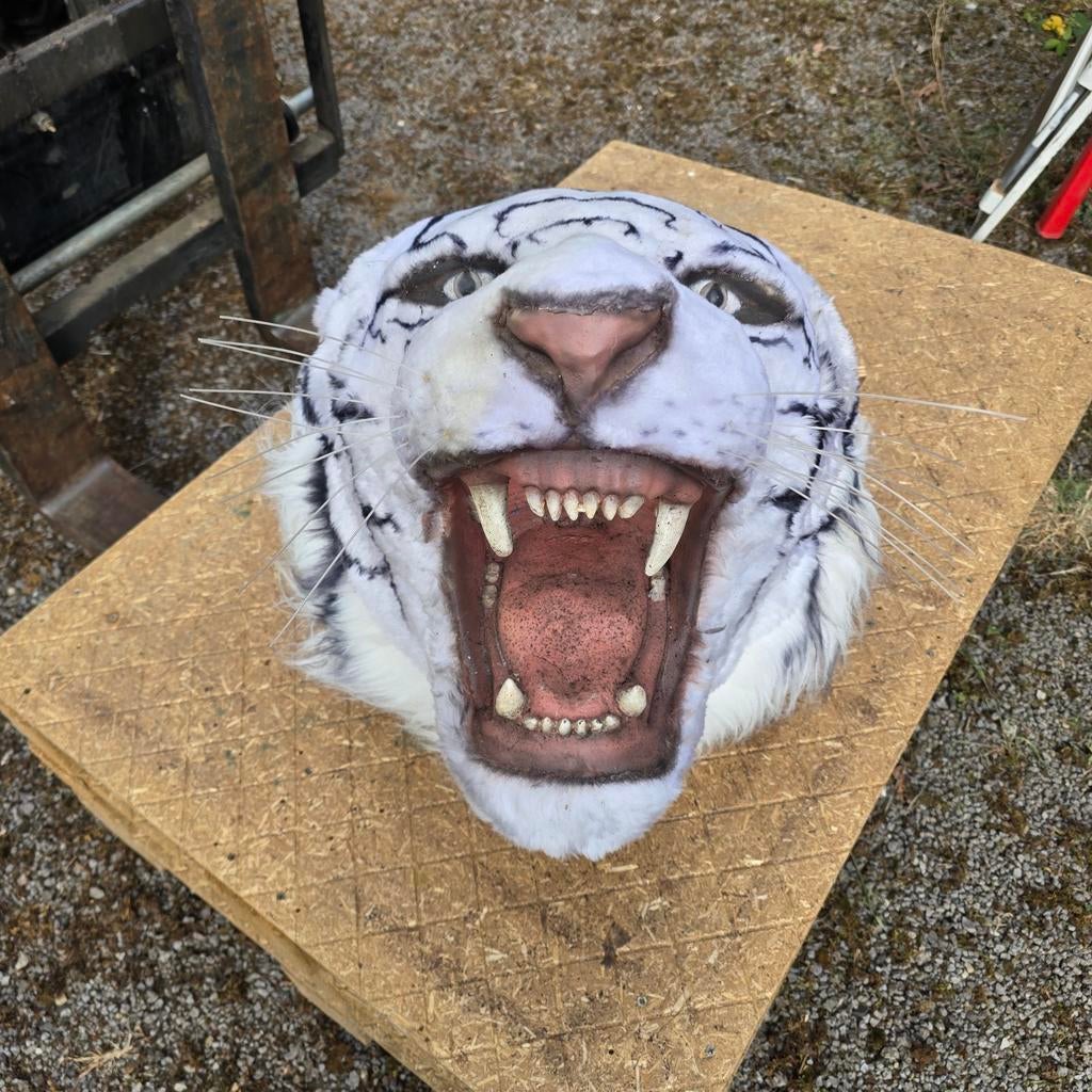 Tijger dieren decor feestartikelen pipowagen circustent dier, Enlèvement, Comme neuf