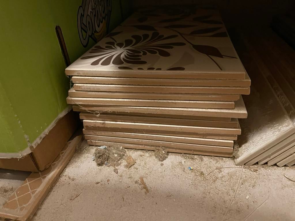 13 tegels  faience  Polis Vertigo Fascia Fast Old Lace, Ophalen of Verzenden