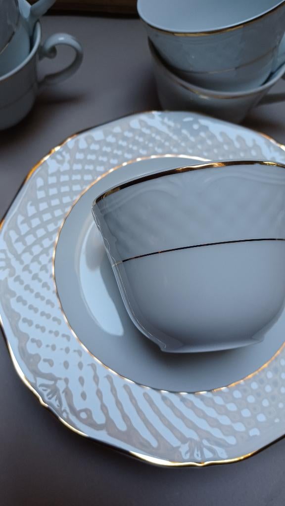 Pools servies ,  6 tassen en 6 ondertassen, Ophalen