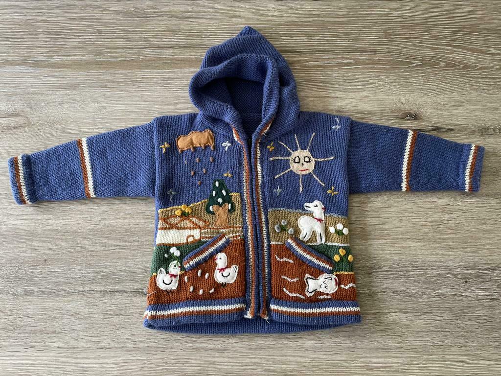 Gebreide trui, Kinderen en Baby's, Kinderkleding | Maat 92, Gebruikt, Trui of Vest, Ophalen of Verzenden, Jongen