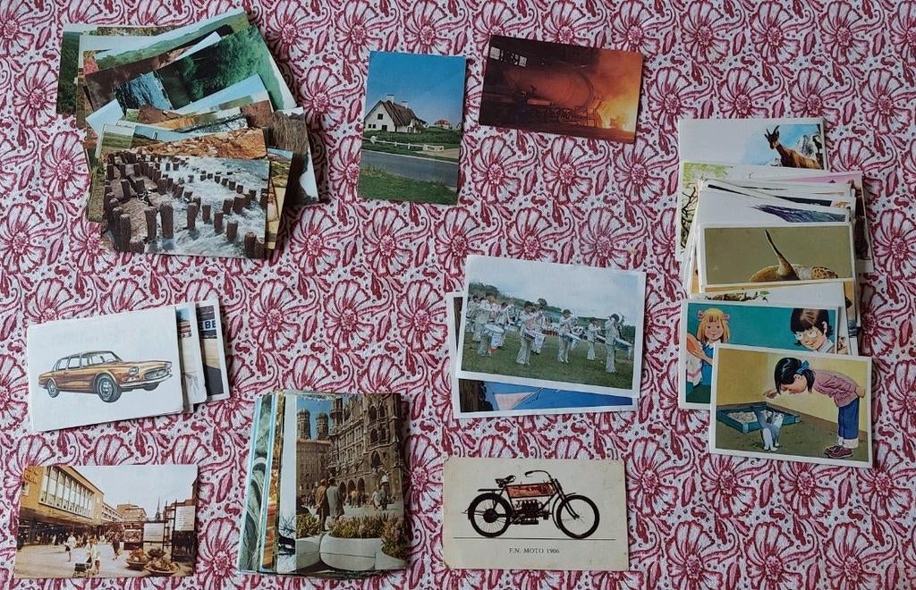 Veel afbeeldingen en chromo's., Ophalen of Verzenden, Gelezen, Plaatjesalbum