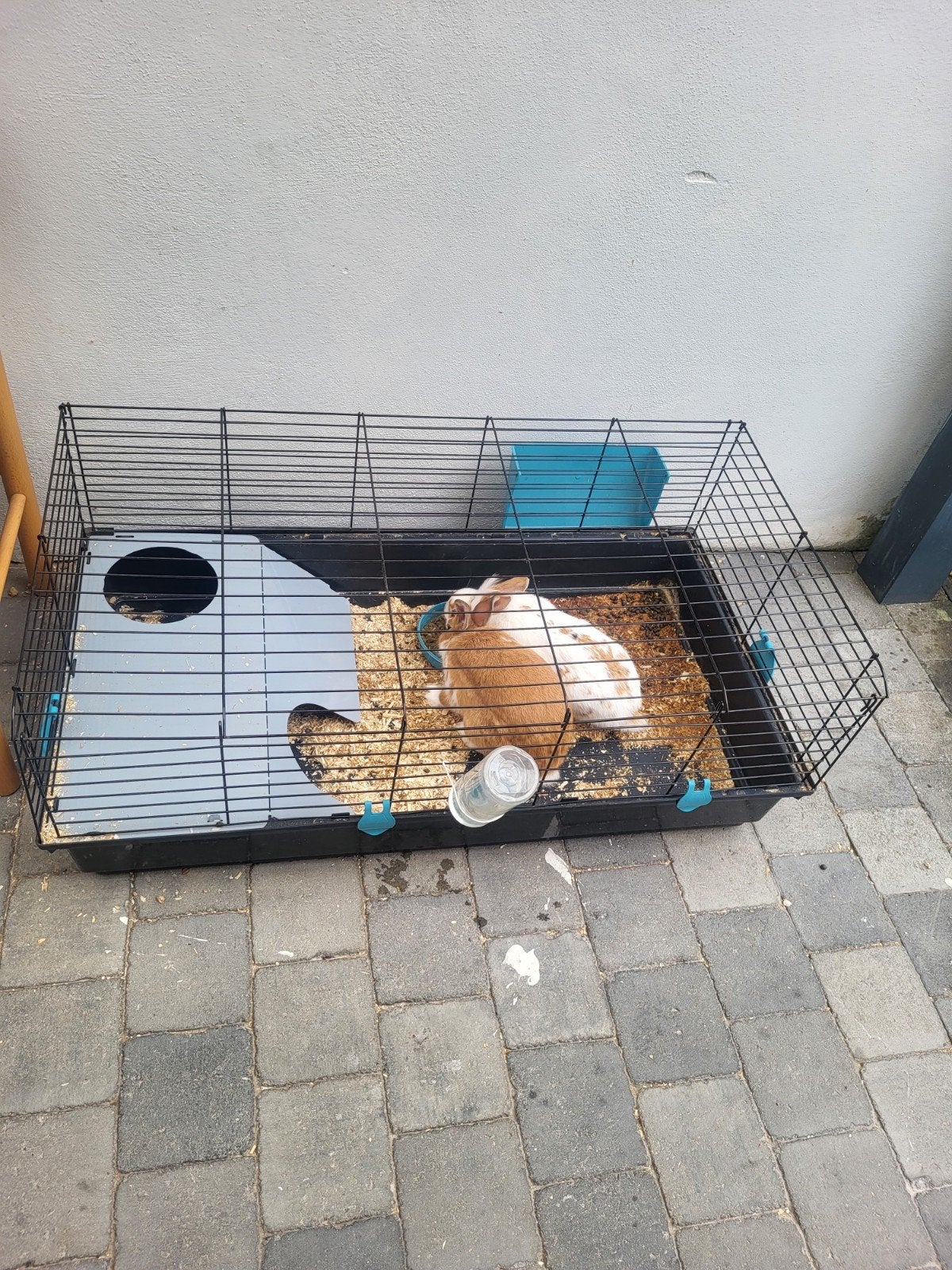 2 konijnen konijn huis, Dieren en Toebehoren, Konijnen