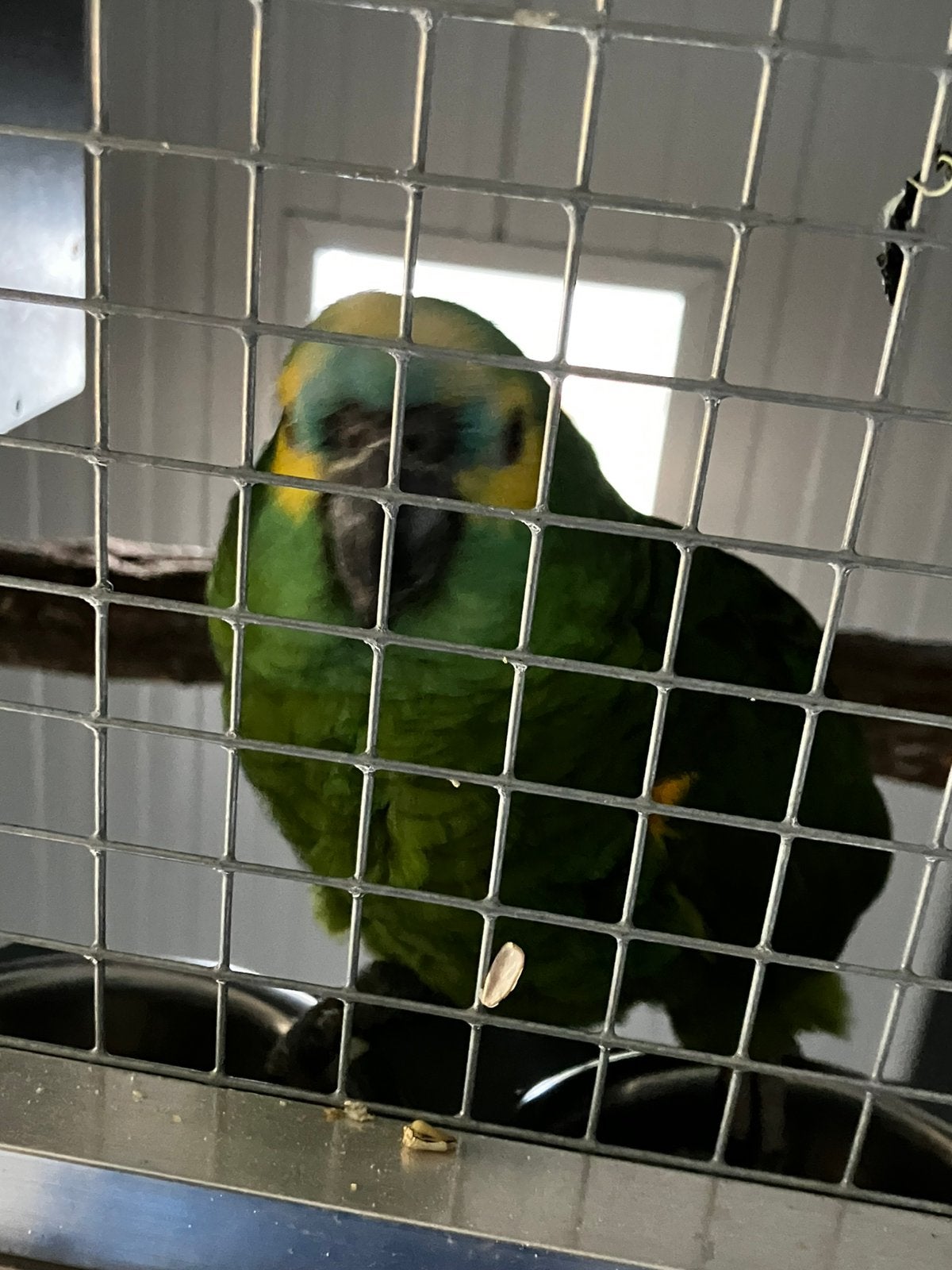 bauwvoorhooftamazone