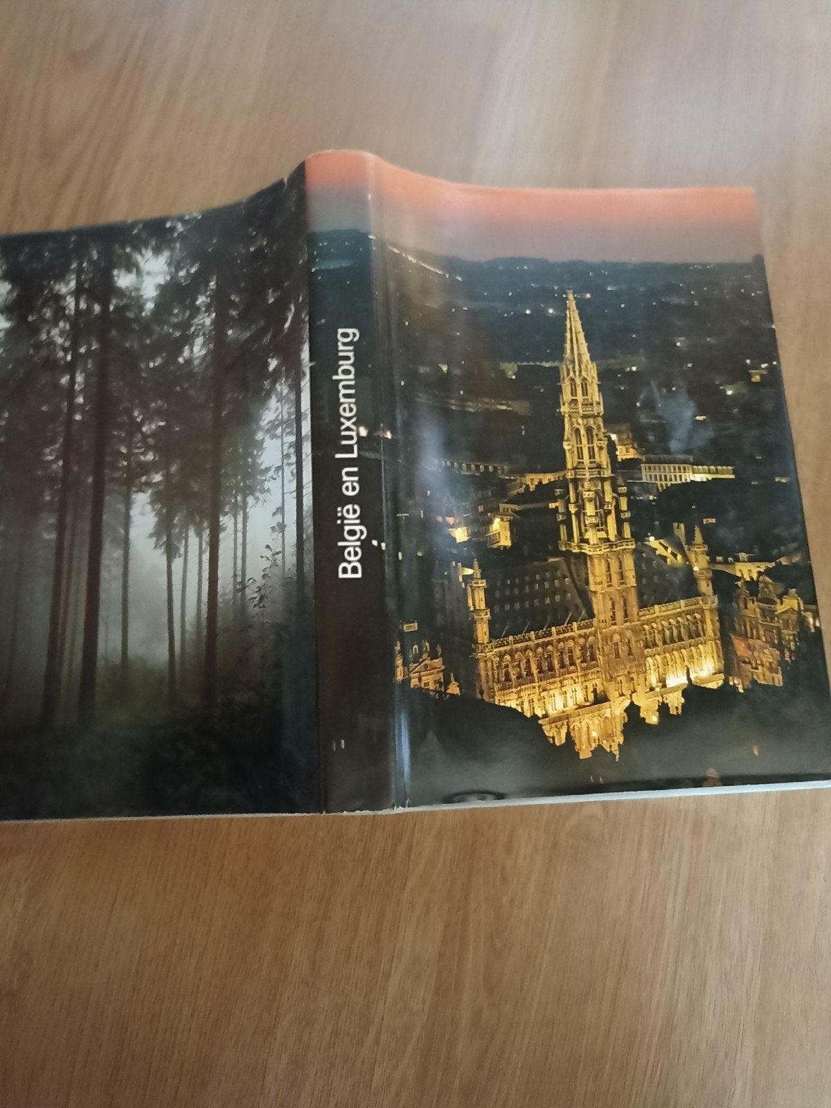België en Luxemburg, Livres, Art & Culture | Arts plastiques, Enlèvement