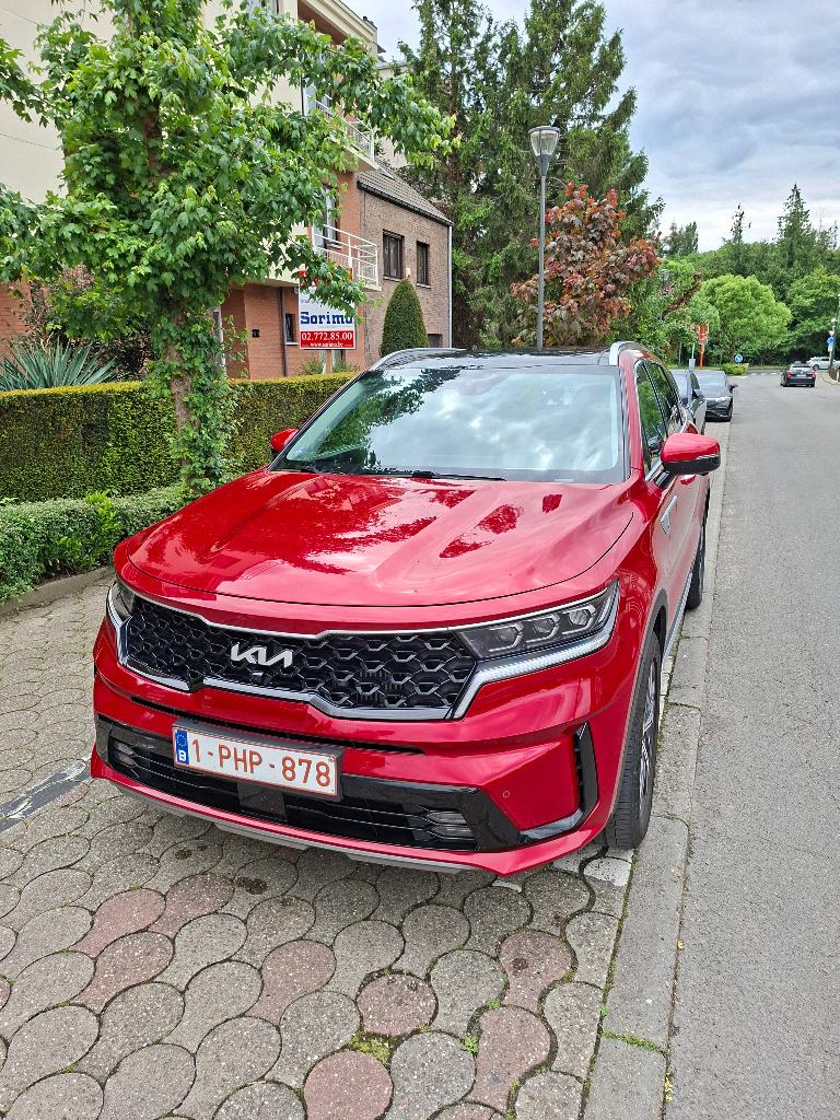 Kia Sorento 2023 2WD 7 zitplaatsen 36.500 km, Auto's, Elektrische buitenspiegels, 7 zetels, Leder, SUV of Terreinwagen
