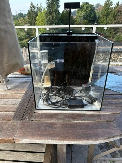 Aquarium, Poisson