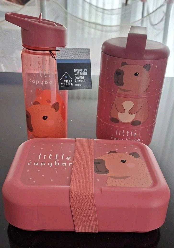 Capybara Cadeauset Brooddoos Drinkfles, Huis en Inrichting, Ophalen, Drinkfles
