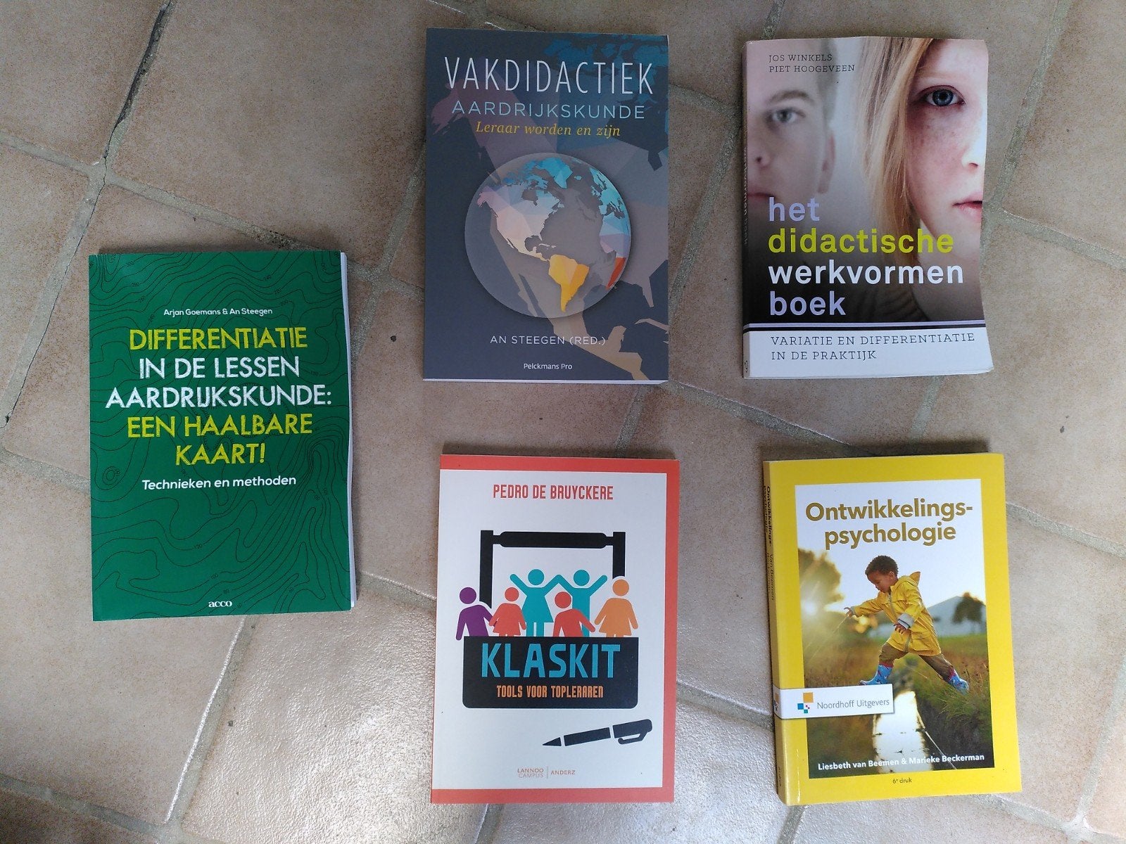 Studieboeken lerarenopleiding aardrijkskunde, Boeken, Informatica en Computer, Ophalen of Verzenden