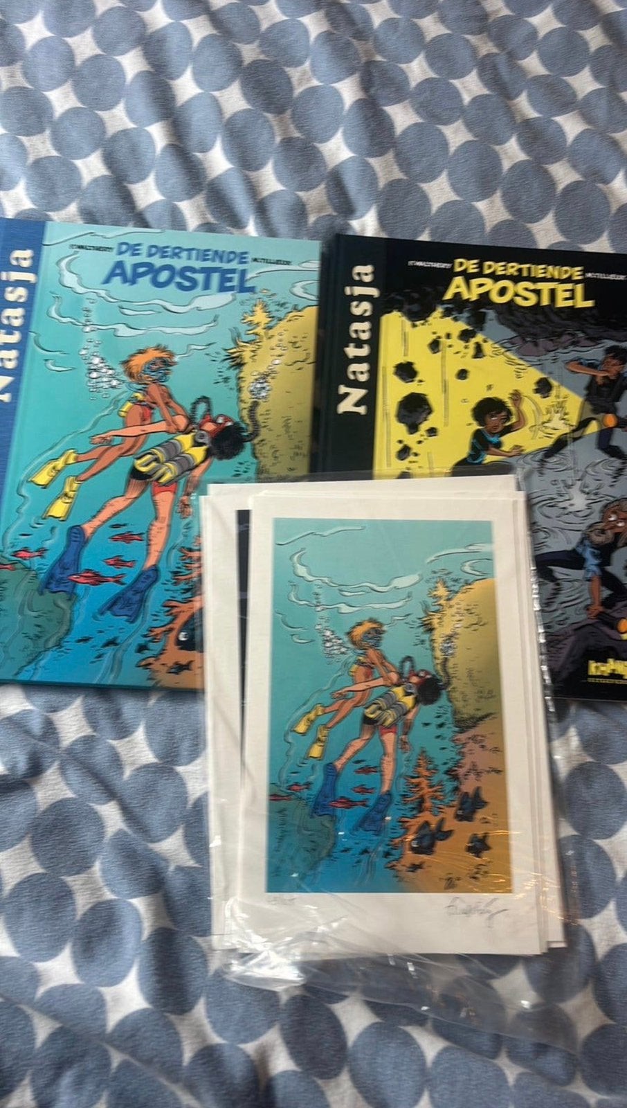 2 Luxes Natasje De dertiende apostel, Boeken, Stripverhalen, Ophalen, Zo goed als nieuw