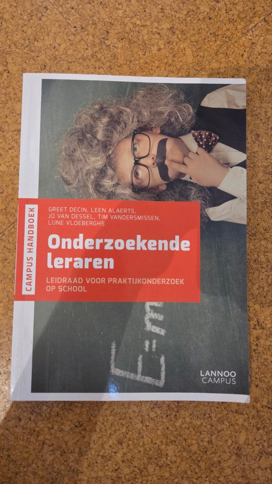Leen Alaerts - Onderzoekende leraren, Ophalen, Leen Alaerts; Jo Dessel; Tim Vandersmissen; Greet Decin