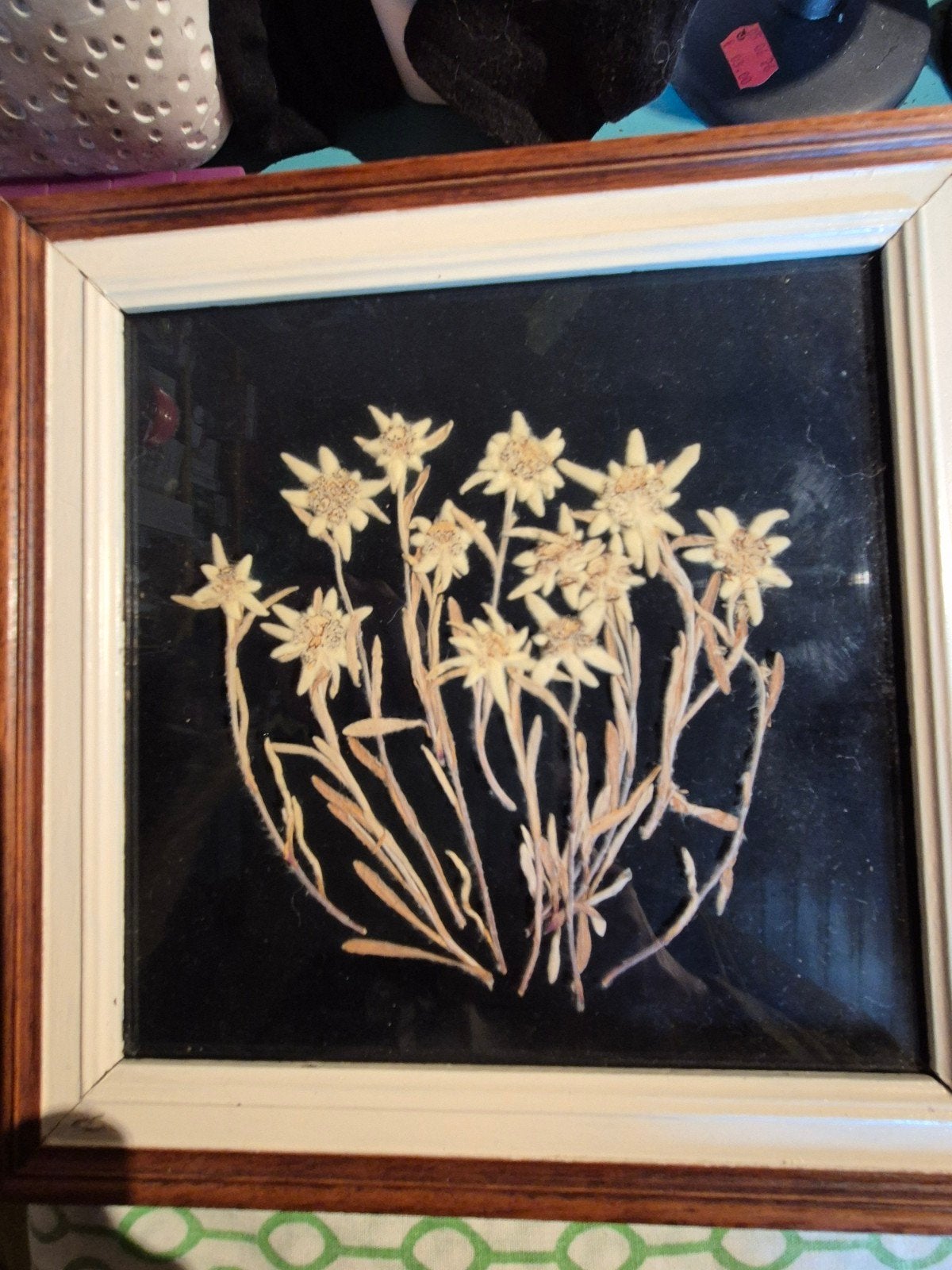 Oud kader met echte edelweiss, Antiek en Kunst, Ophalen