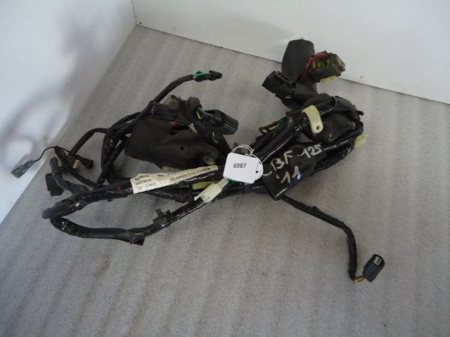 CBF125 2013 - 2014 Honda Kabelboom Kabelboom hoofd D1-16733