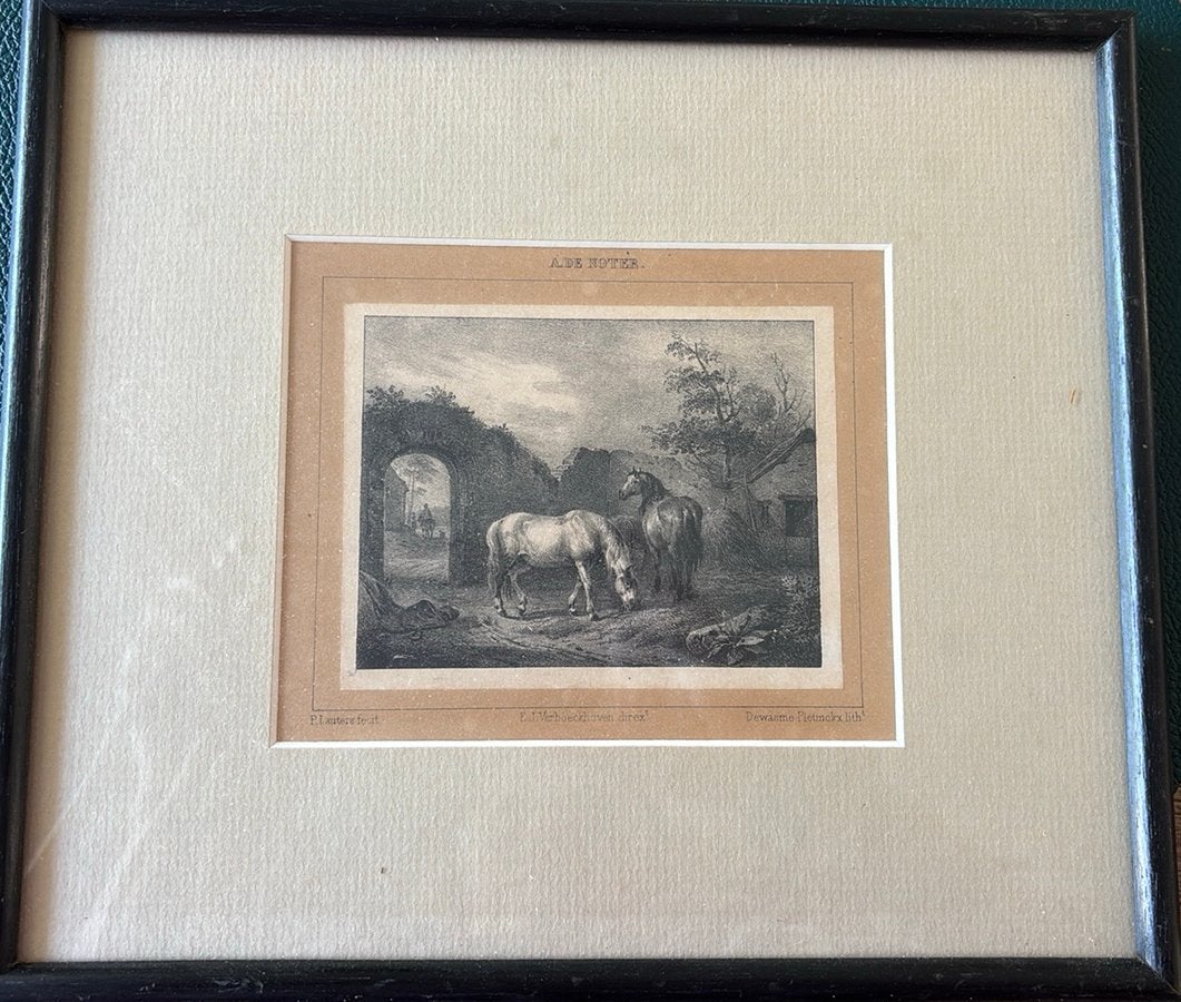 complete set van 3 originele Belgische litho's, Antiek en Kunst, Kunst | Etsen en Gravures, Ophalen, Ingelijst