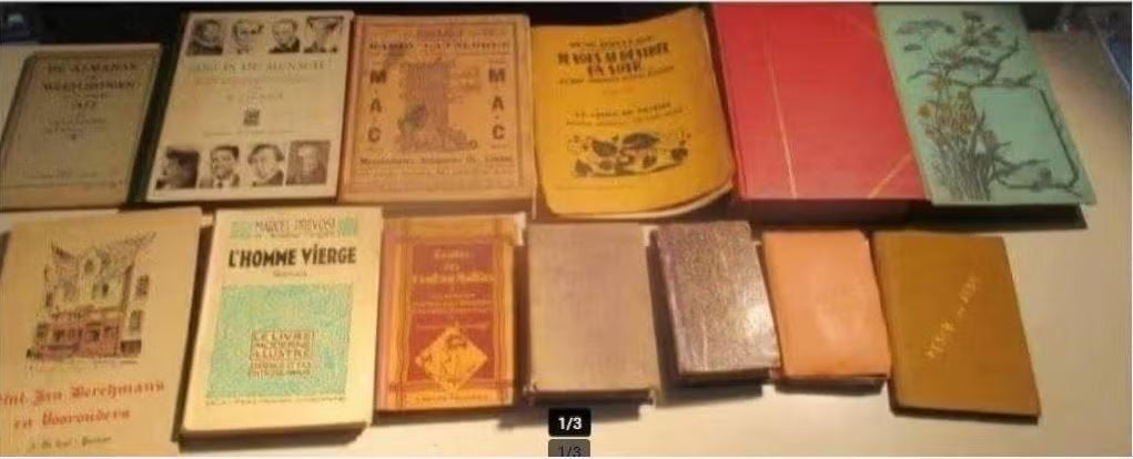 Belle fête de toutes sortes de livres anciens, Antiquités & Art, Antiquités | Livres & Manuscrits, Enlèvement ou Envoi