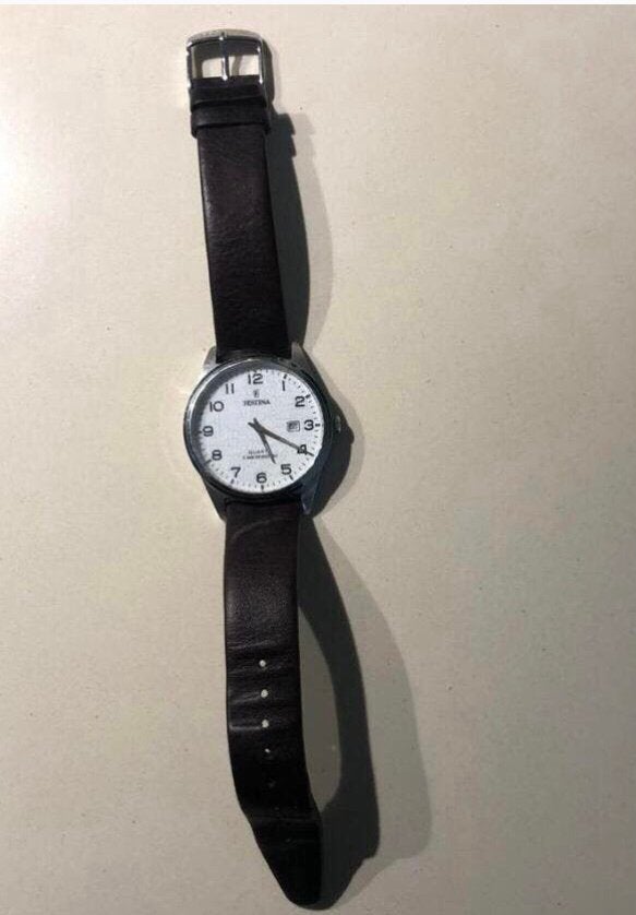 Festina F20512 Classics, Handtassen en Accessoires, Horloges | Heren, Gebruikt, Polshorloge, Staal, Ophalen