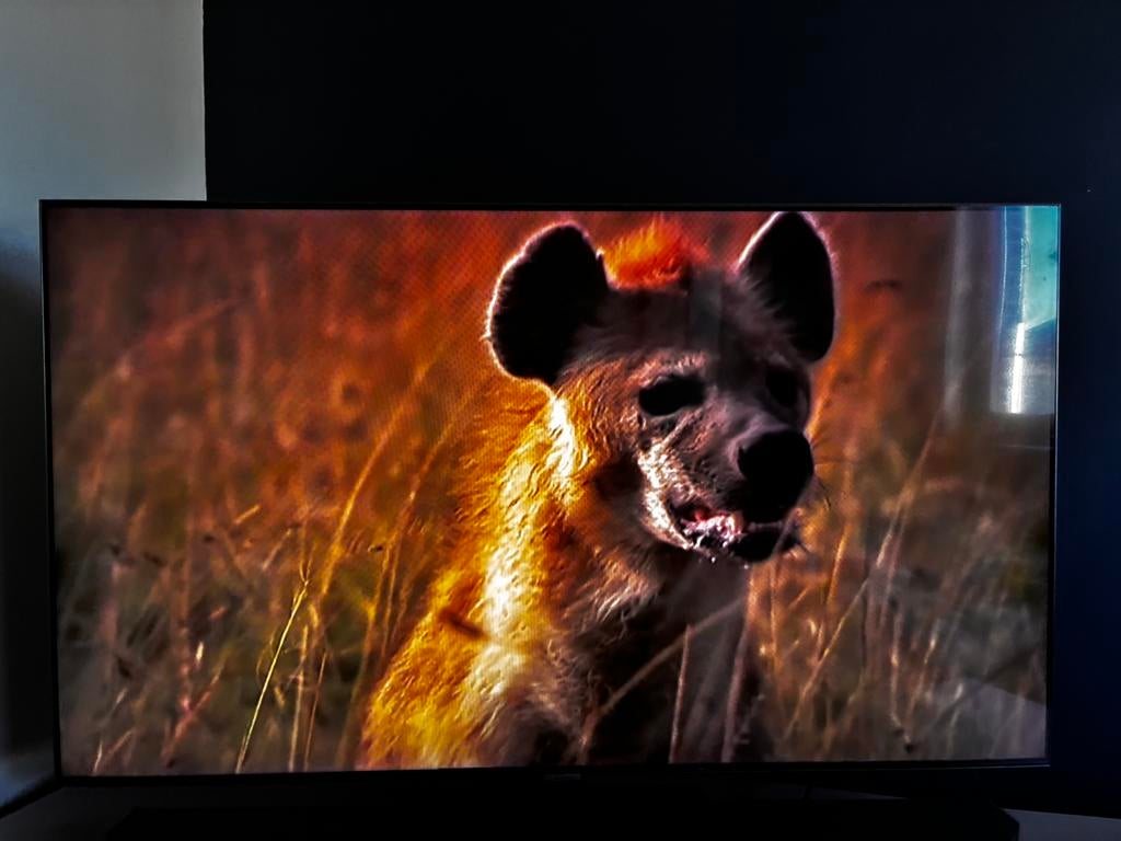 Samsung QE55Q80, QLED, 120 Hz, Comme neuf, Enlèvement