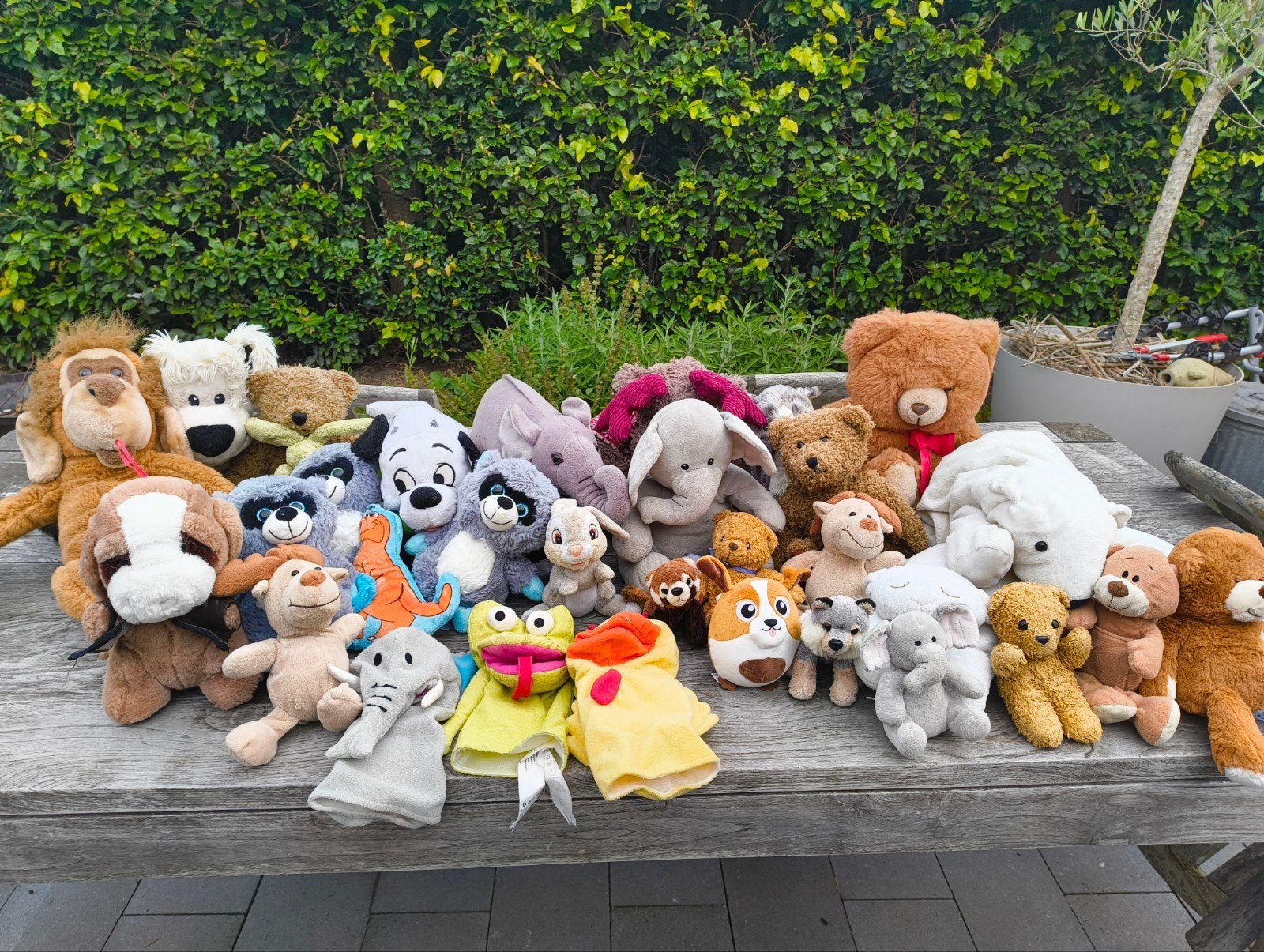 Knuffels/Teddyberen, Ophalen