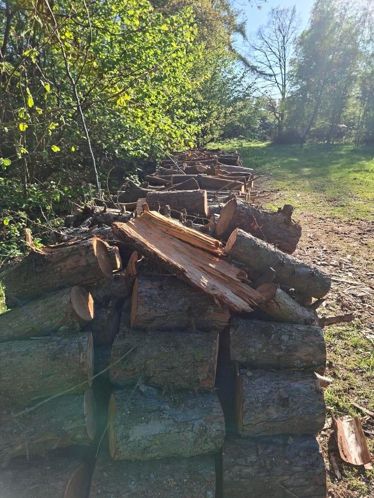 Blokken hout, Tuin en Terras, Brandhout, Ophalen, Overige houtsoorten, Blokken
