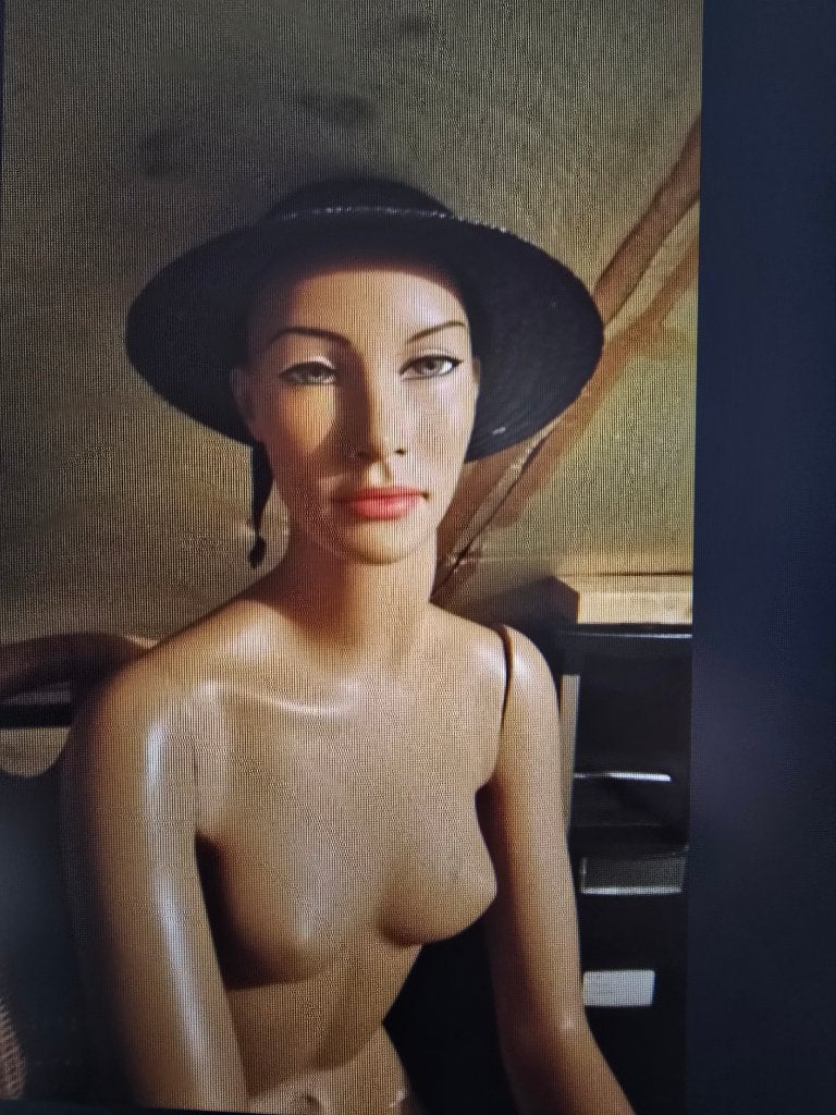 Vitrine Mannequins Hindsgaul, Enlèvement
