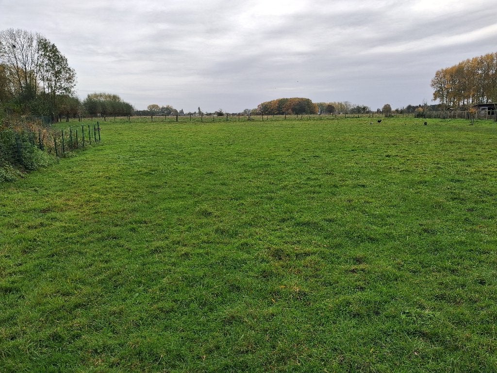 weide met schuilhok te huur, 1 cheval ou poney