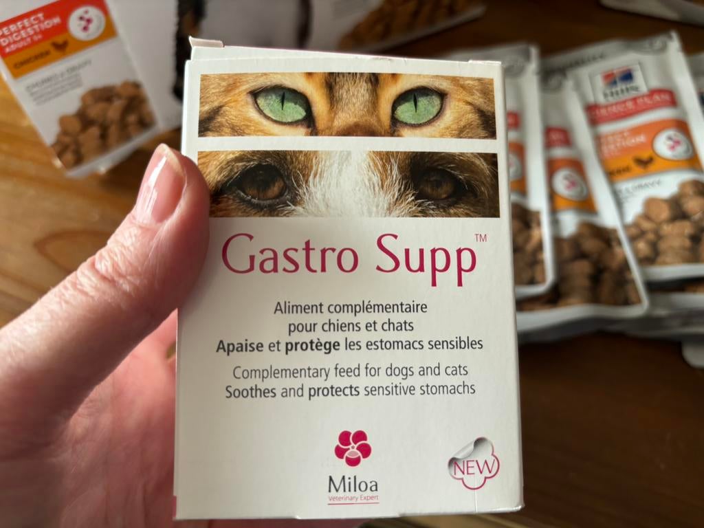 Gastro supp Miloa - complément alimentaire digestion chats, Animaux & Accessoires, Nourriture & Abreuvoirs pour chats, Comme neuf