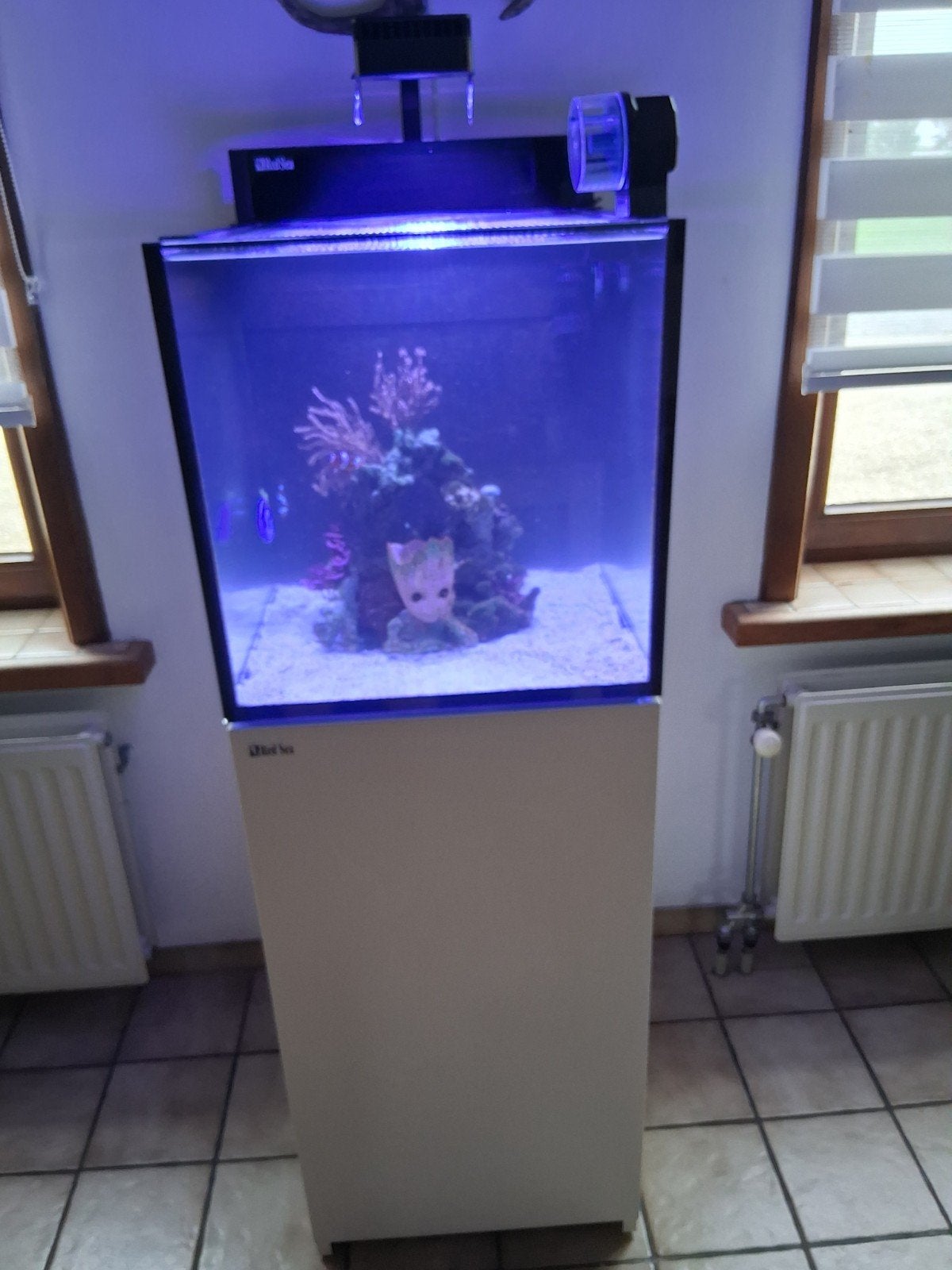 red sea zeeaquarium 100l compleet met vissen, Dieren en Toebehoren, Ophalen, Zo goed als nieuw, Gevuld zeewateraquarium, Red Sea