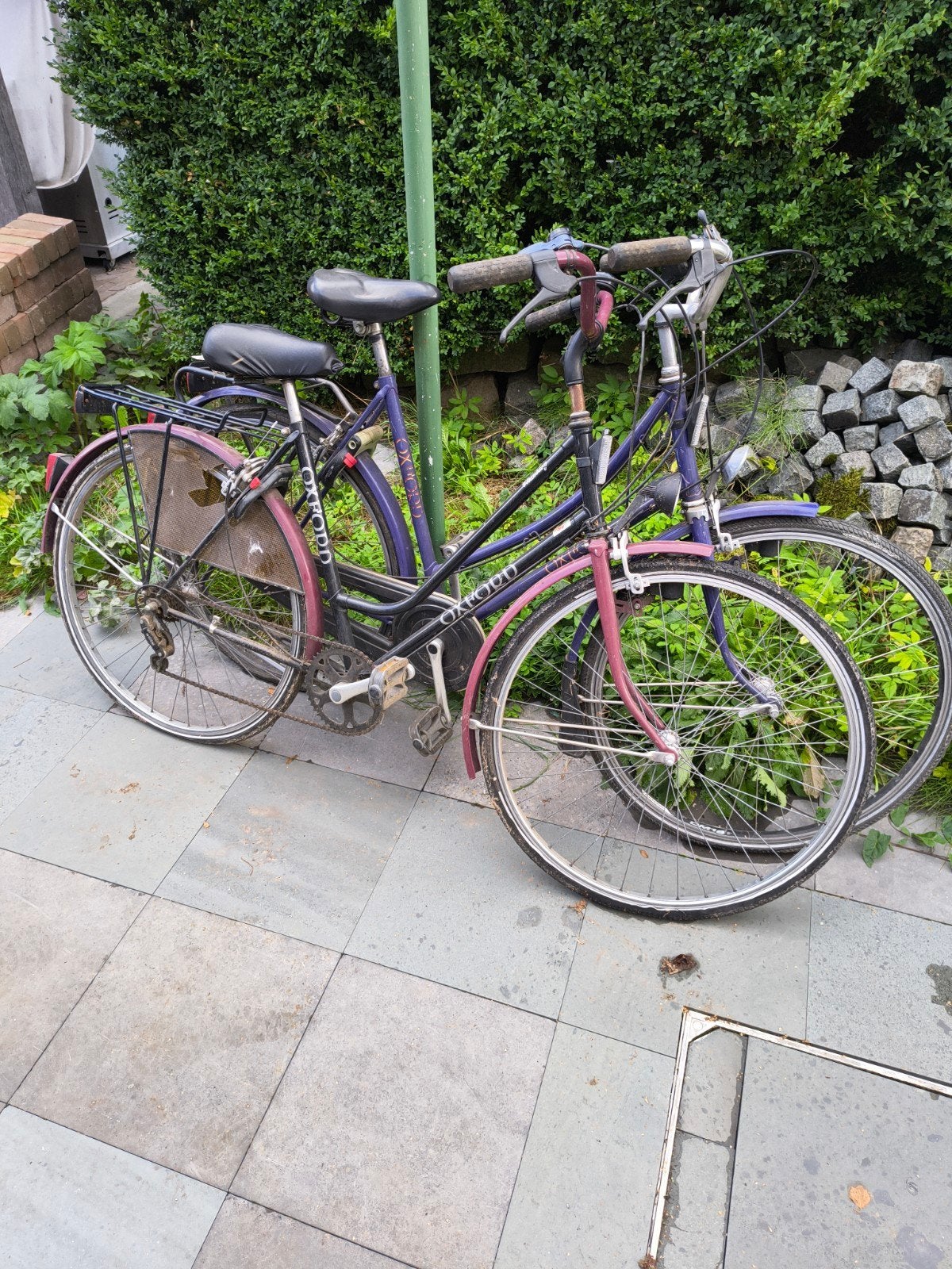 twee Oxford fietsen hebben nieuwe banden nodig, Gebruikt, Velgrem, 47 tot 50 cm, Versnellingen