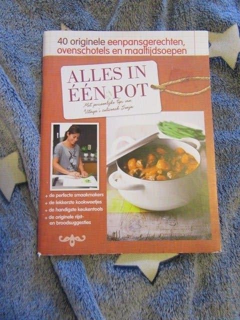 kookboek : Alles in één pot - 40 originele gerechten, Ophalen of Verzenden, Gelezen, Overige gebieden