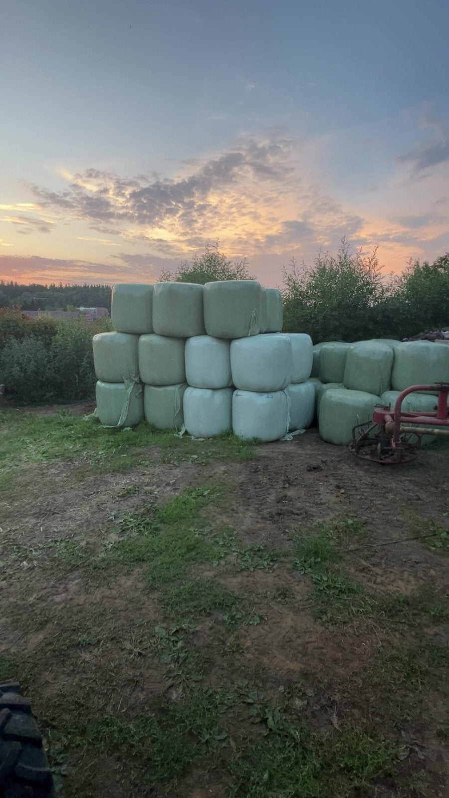 Midi balen droge voordroog te koop, Dieren en Toebehoren, Ophalen