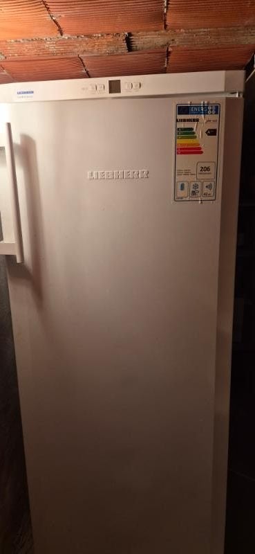 Diepvriezers, Electroménager, Congélateurs, Congélateur, Classe énergétique A ou plus économe, 160 cm ou plus, Comme neuf