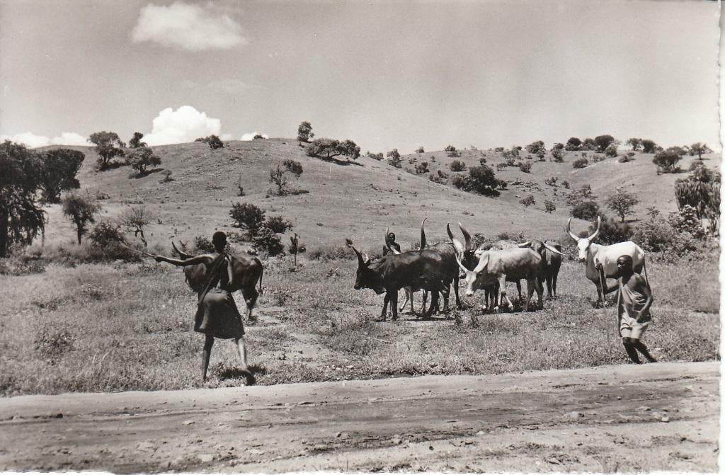 Postkaart Rwanda - Urundi, Verzamelen, Ophalen of Verzenden, 1940 tot 1960, Ongelopen, Buiten Europa