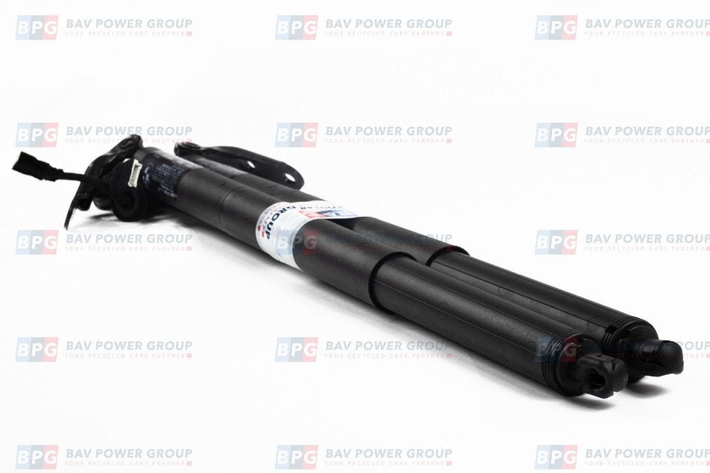 GASDRUKVEERSET 2 serie Gran Tourer (F46) (51 24 7 365 979), Gebruikt, BMW, Petuelring 130
80809  München, DE, Bayerische Motoren Werke AG