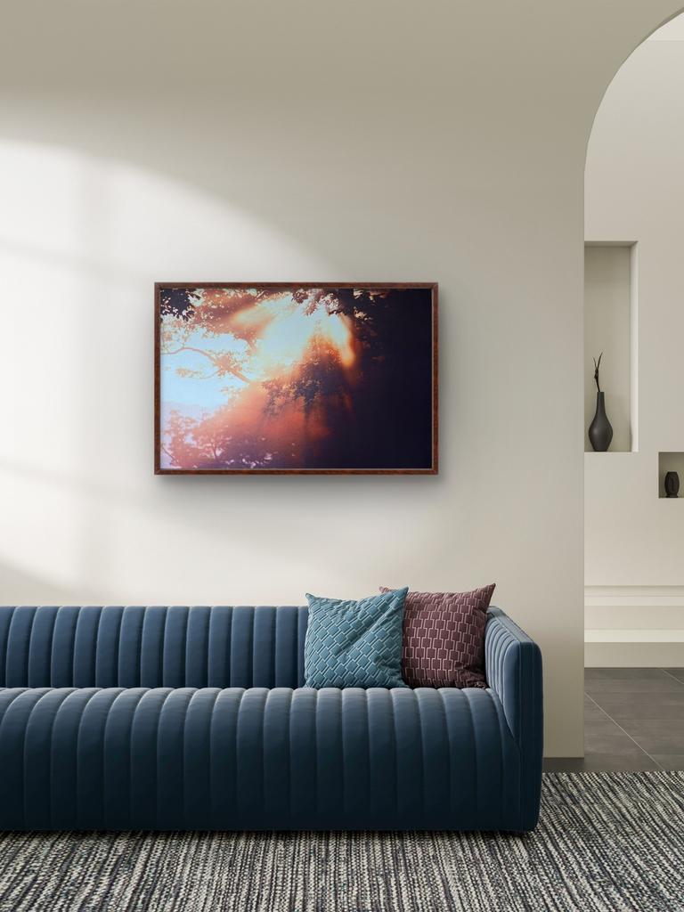 Modern canvas schilderij zonlicht / natuur 90x60 cm, Antiek en Kunst, Ophalen of Verzenden