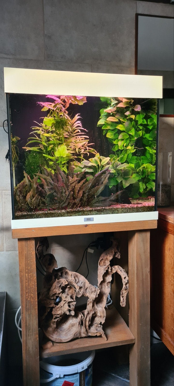 Aquarium Lido 120, Animaux & Accessoires, Enlèvement