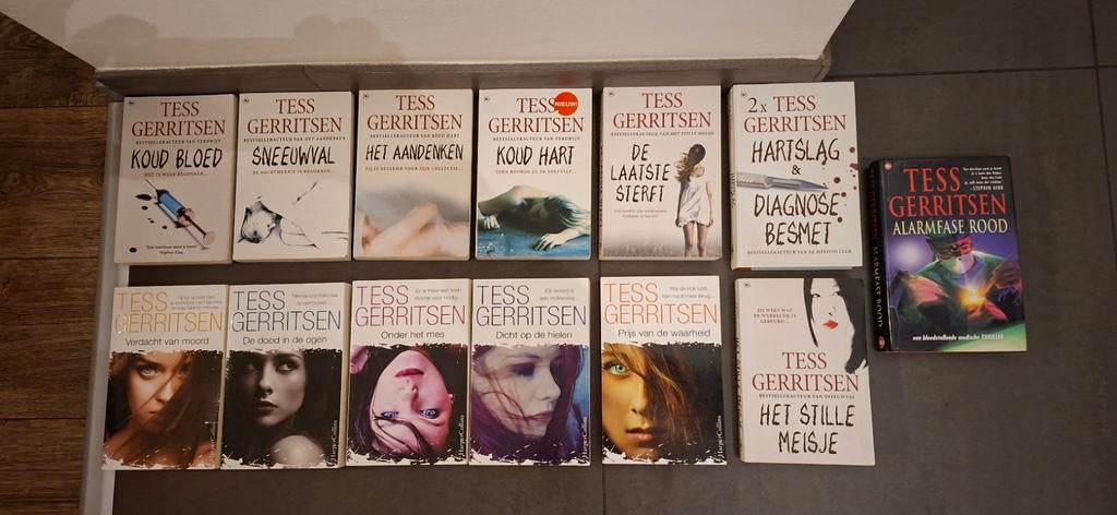 Boeken tessa gerritse saskia noort Danielle steel, Boeken, Ophalen of Verzenden, Zo goed als nieuw