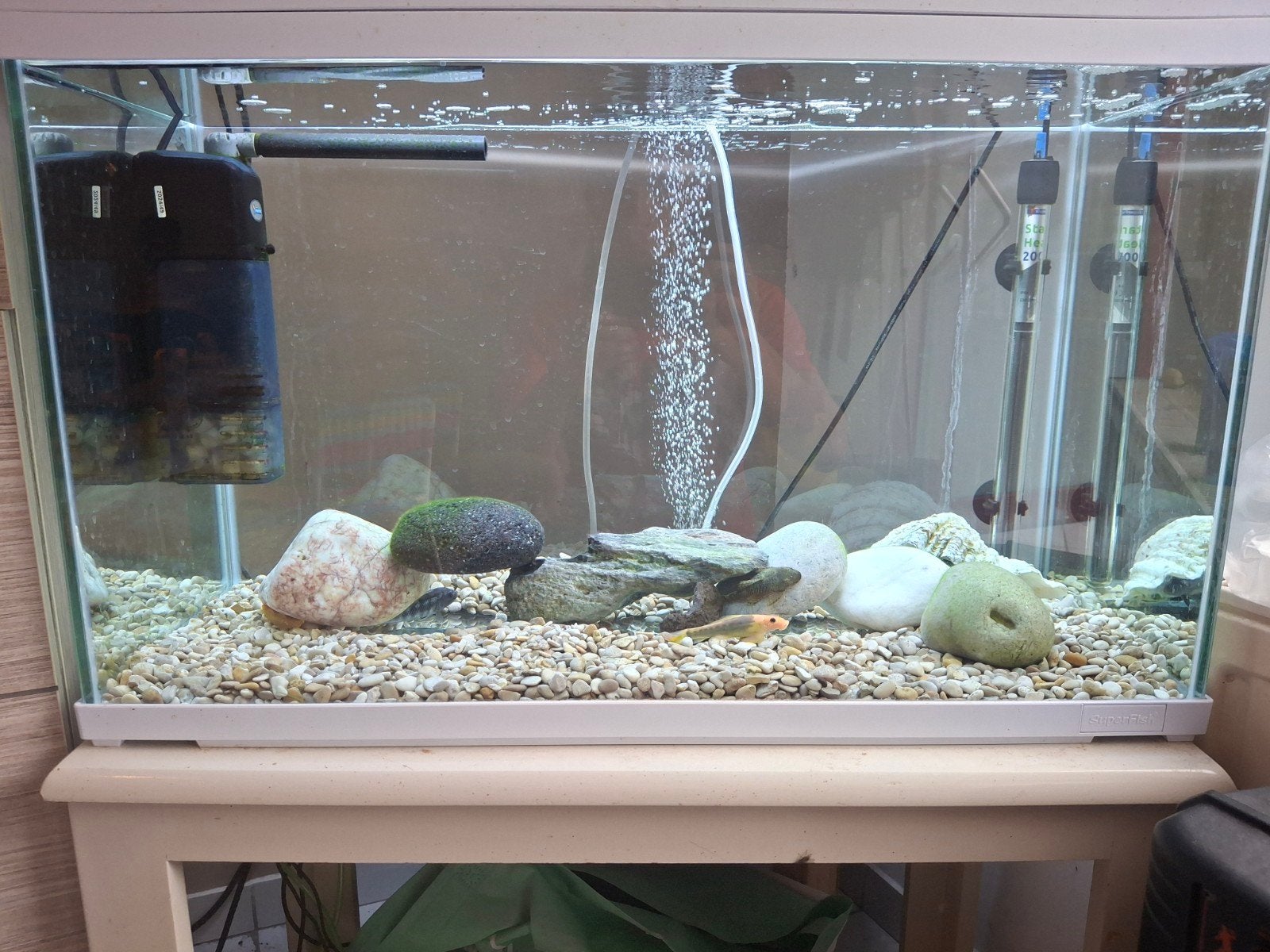 aquarium, Dieren en Toebehoren, Ophalen of Verzenden