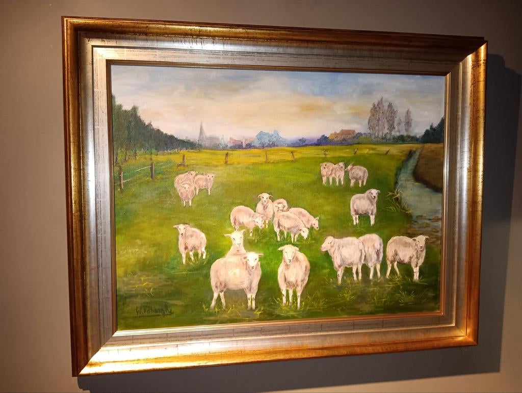Schapen in de weide, Ophalen