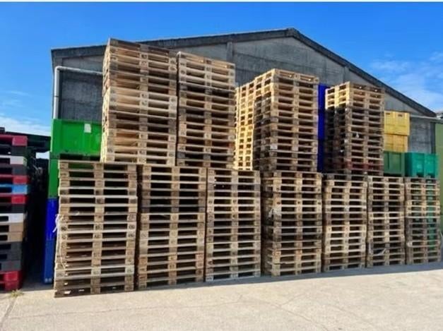 Te koop gevraagd euro paletten, Moins de 200 cm, Utilisé, Épicéa, Palette