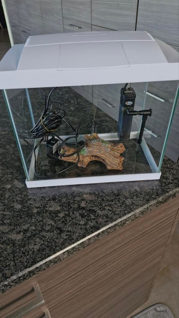 Aquarium blanc, Animaux & Accessoires, Poissons | Aquariums & Accessoires, Enlèvement ou Envoi