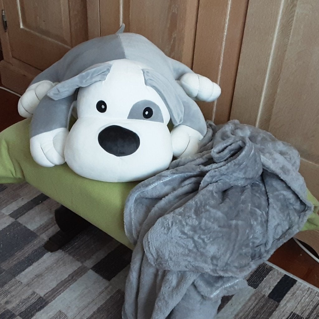 Splinternieuwe knuffel met binnen fleece plaid Zeer schattig, Enfants & Bébés, Jouets | Peluches, Neuf, Chien, Moyen (20 à 80 cm)