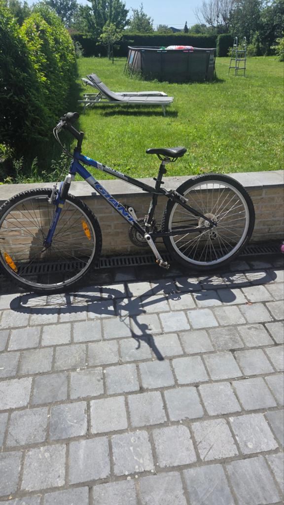Vélo de montagne pour garçons de 10 à 14 ans, Vitesses, Frein sur jante, Giant, Enlèvement
