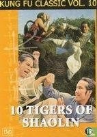 10 tigers of shaolin   ( kung-fu classic ), CD & DVD, DVD | Action, Enlèvement ou Envoi, Comme neuf