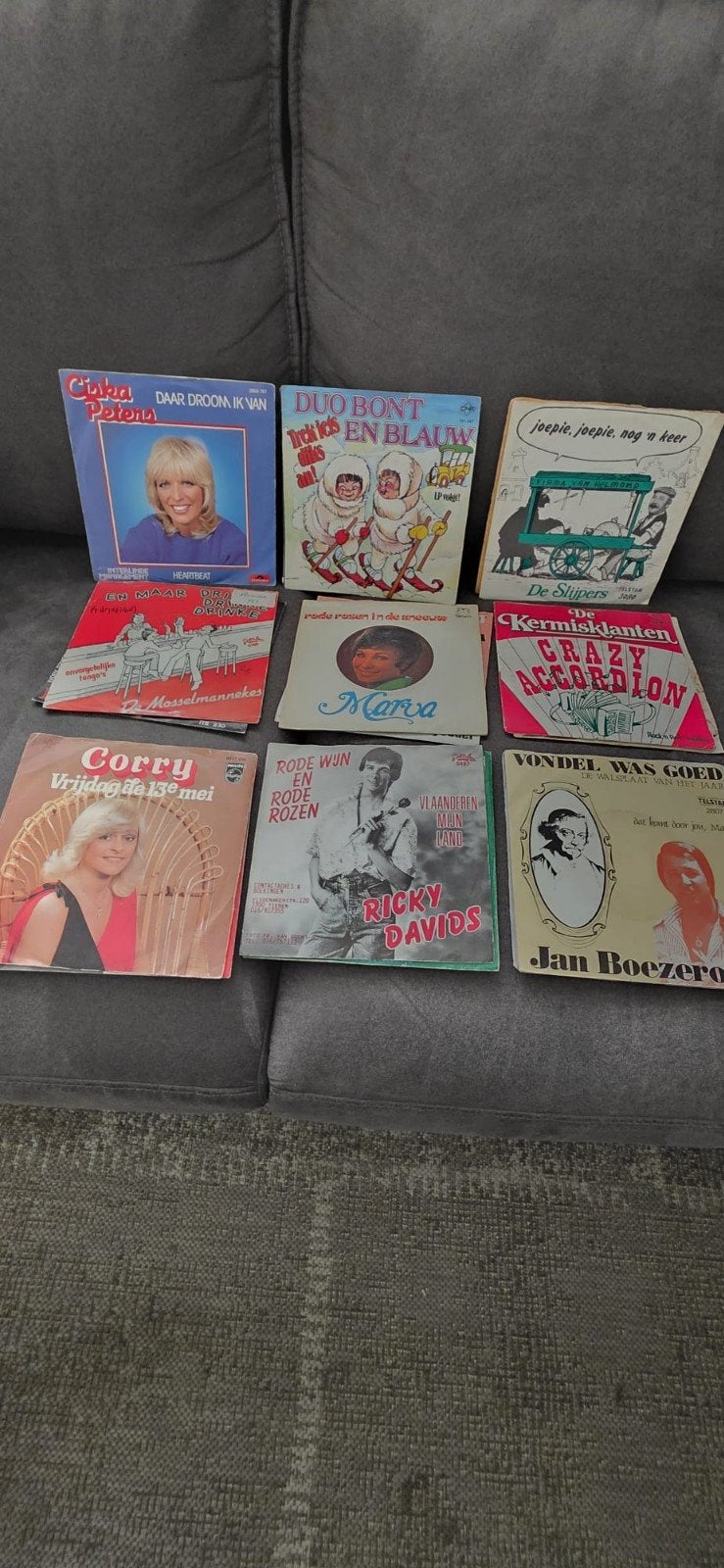 Gezocht  grote  partijen vinyl singles  piraten, Ophalen