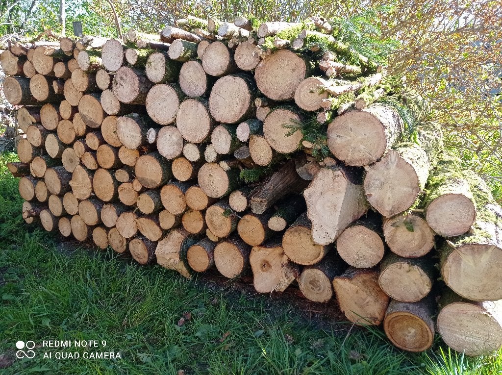 Bois de Chauffage Epicéa en 1m, 6 m³ of meer, Ophalen, Overige houtsoorten, Blokken
