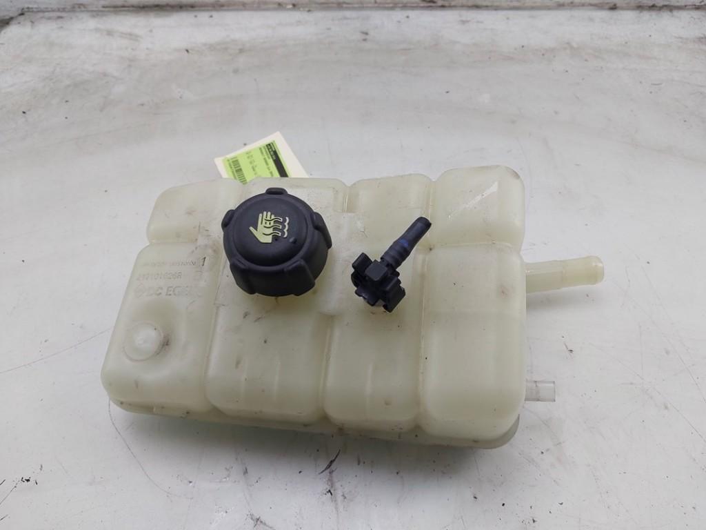 EXPANSIERESERVOIR Renault Kangoo Express (RFK) (01-2020/-), Dhr. J. Ham, Gebruikt, Renault, Administratie@autoham.nl