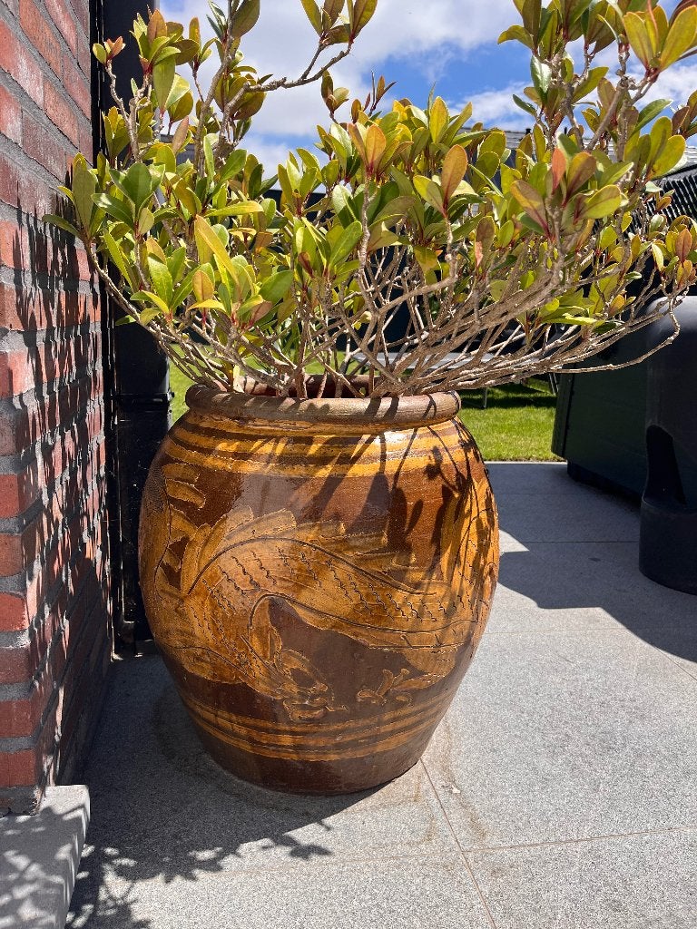 Prachtige grote Chinese eierpot met drakenmotief blikvanger, Ophalen, Zo goed als nieuw, Balkon